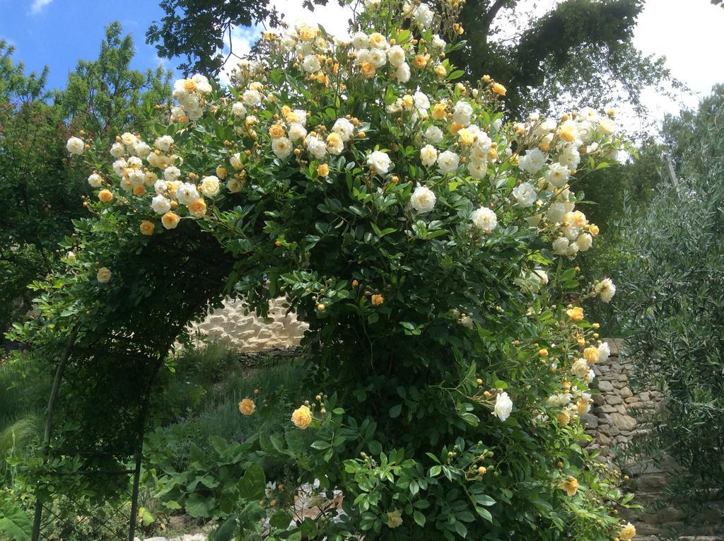 Sous Les Canniers Saumane-de-Vaucluse Bagian luar foto